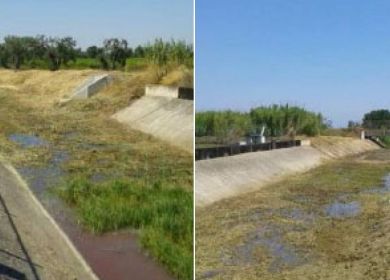 Canale Foggia di Rau