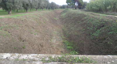 MIGLIORAMENTO FUNZIONALITA' IDRAULICA CANALE FOGGIA DI RAU - BRINDISI - ANNO ...
