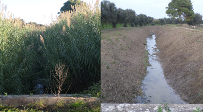 Canale Foggia di Rau/ Comune di Brindisi