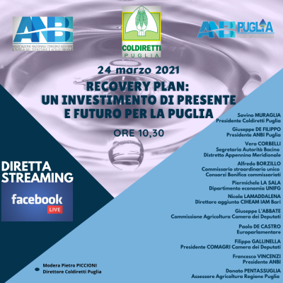 RECOVERY  PLAN    -  ACQUA  E  BONIFICA
