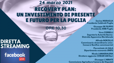 RECOVERY  PLAN    -  ACQUA  E  BONIFICA